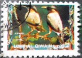 Selo postal de Umm Al Qwain  de 1972 Brahminy Starling