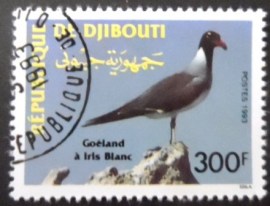 Selo postal de Djibouti de 1993 White-eyed Gull