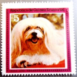 Selo postal da Guinea Ecuatorial de 1978 Lhasa Apso