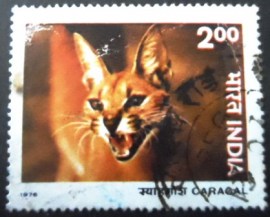 Selo postal da Índia de 1976 Caracal