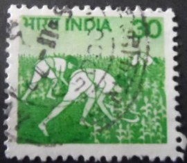 Selos postal da Índia de 1979 Harvesting Maize