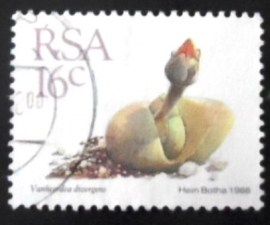 Selo postal da África do Sul de 1988 Vanheerdea divergens