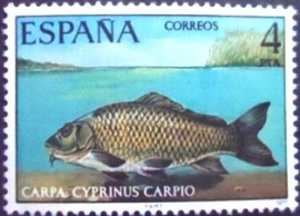 Selo postal da Espanha de 1977 Common Carp