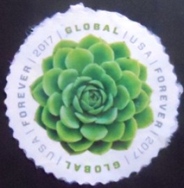 Selo postal dos Estados Unidos de 2017 Green Succulent Global Forever