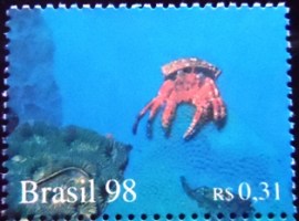 Selo postal do Brasil de 1998 Anêmona e Coral