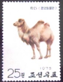 Selo postal da Coréia do Norte de 1975  Bactrian Camel