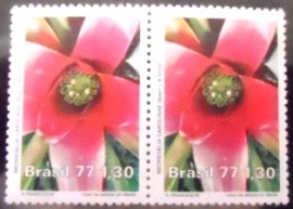 Par de selos postais do Brasil de 1977 Neoregelia Carolinae