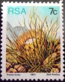 Selo postal da África do Sul de 1977 Thong-leaf sugarbush
