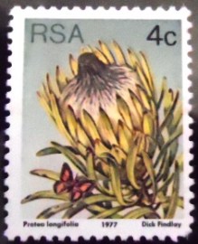 Selo postal da África do Sul de 1977 Long-leaf sugarbush