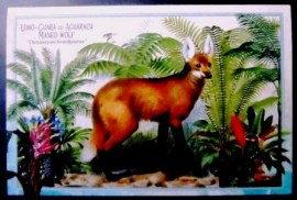 Cartão postal do Brasil de 2023 Lobo Guará