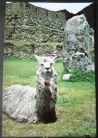 Cartão postal do Peru de 1977 Machu Picchu