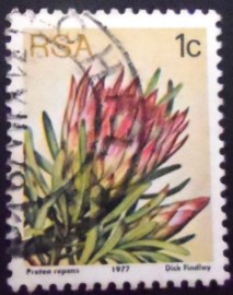 Selo postal da África do Sul de 1977 Protea repens