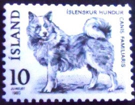 Selo postal da Islândia de 1980 Islandic Dog
