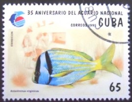 Selo postal de Cuba de 1995 Porkfish