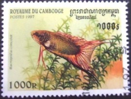 Selo postal do Camboja de 1997 Black Paradise Fish