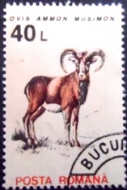 Selo postal da Romênia de 1993 Mouflon
