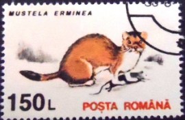 Selo postal da Romênia de 1993 Stoat