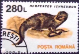 Selo postal da Romênia de 1993 Egyptian Mongoose