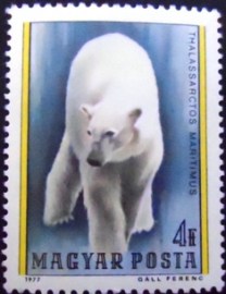 Selo postal da Hungria de 1977 Polar Bear