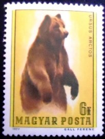 Selo postal da Hungria de 1977 Brown Bear