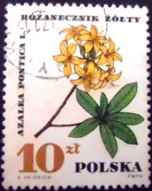 Selo postal da Polônia de 1967 Yellow Azalea