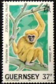 Selo postal de Guernsey de 1989 Lar Gibbon