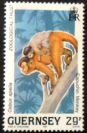 Selo postal de Guernsey de 1989 Brown Capuchin Monkey