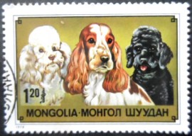 Selo postal da Mongólia de 1978 Cocker Spaniel and Poodle