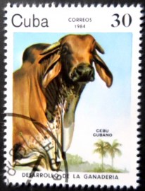 Selo postal de Cuba de 1984 Cuban Zebu