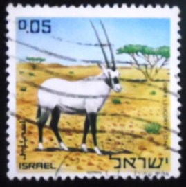 Selo postal de Israel de 1971 White Oryx