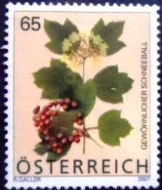 Selo postal Áustria de 2007 Guelder Rose