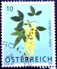 Selo postal Áustria de 2007 Scotch Laburnum