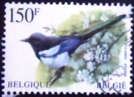 Selo postal da Bélgica de 1997 Eurasian Magpie