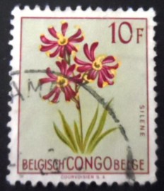 Selo postal do Congo Belga de 1952 Silene burchellii
