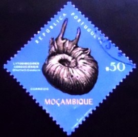 Selo postal de Moçambique de 1971 Lytodiscoides conduciensis