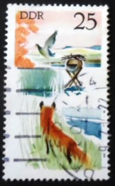 Selo postal da Alemanha Oriental de 1977 Mallard and Red Fox