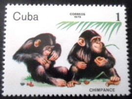 Selo postal de Cuba de 1979 Chimpanzee