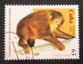 Selo postal de Cuba de 1995 Bornean Orangutan