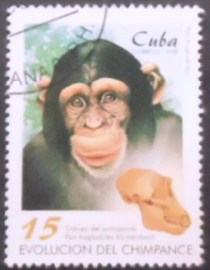 Selo postal de Cuba de 1998 Chimpanzee and Cranium