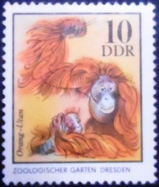 Selo postal da Alemanha Oriental de 1975 Bornean Orangutan