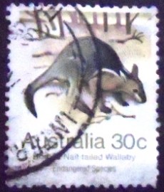 Selo postal da Austrália de 1981 Bridled Nail-tailed Wallaby
