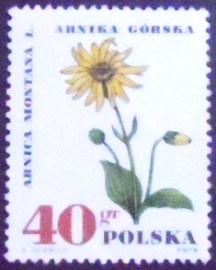 Selo postal da Polônia de 1967 Mountain arnica