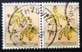 Par de selos postais do Congo Belga de 1952 Ansellia Africana