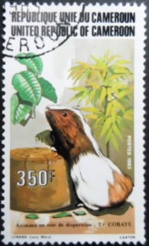 Selo postal de Camarões de 1983 Guinea Pig