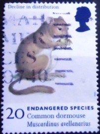 Selo postal do Reino Unido de 4998 Common Dormouse