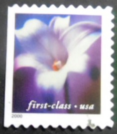 Selo postal dos Estados Unidos de 2000 Longiflorum lily