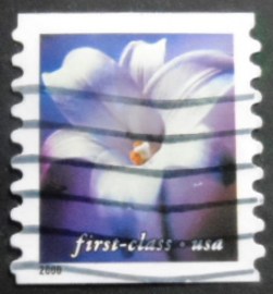 Selo postal dos Estados Unidos de 2000 Longiflorum lily