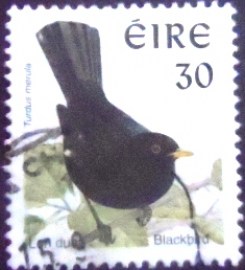 Selo postal do Eire de 1998 Common Blackbird 30 u xA