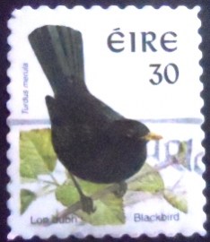 Selo postal do Eire de 1998 Common Blackbird