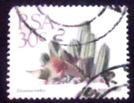 Selo postal da África do Sul de 1988 Tavaresia barklyi